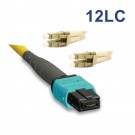 12 Fibers Single-Mode 12 Strands MTP/MPO to LC Harness Cable 3.0mm LSZH/Riser