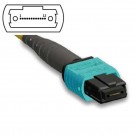 8 Fibers 10G OM3 MTP/MPO Trunk Cable 3.0mm LSZH/Riser